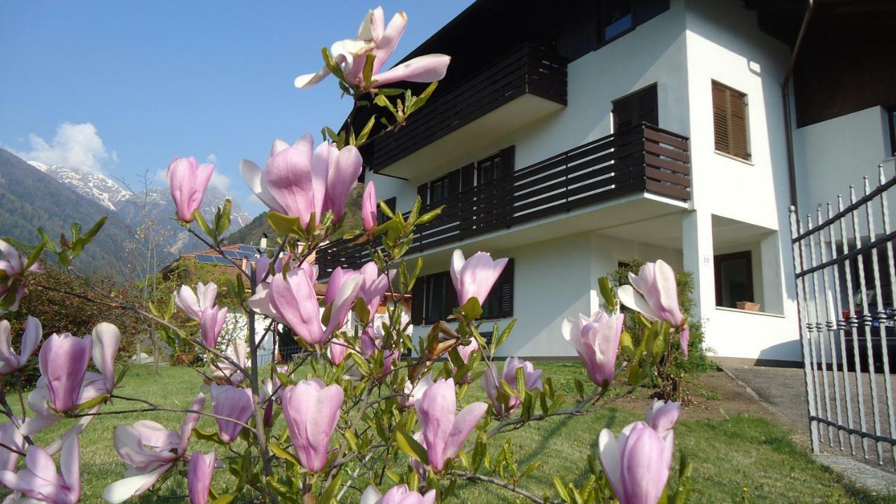 Casa Gregori Διαμέρισμα Malè Εξωτερικό φωτογραφία